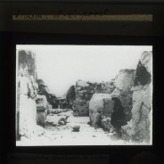 Böhl glass slide 61.3/1797